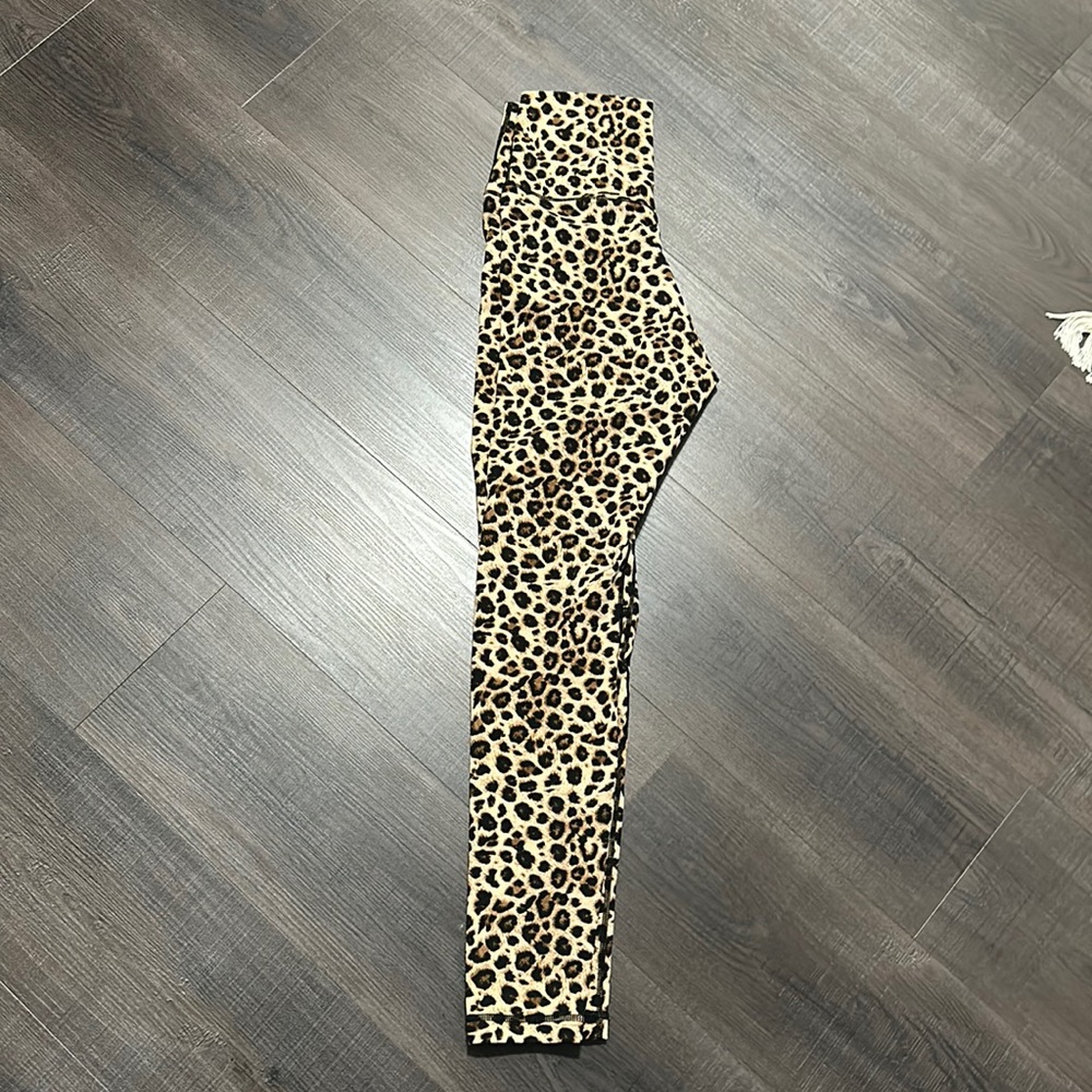 Colorful Koala Leggings